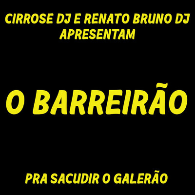 アルバム/O Barreirao: Pra Sacudir O Galerao (featuring Cirrose Dj)/DJ Renato Bruno／DJ Evolucao