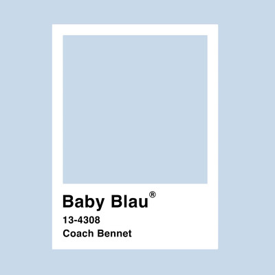 Babyblau (Explicit)/Coach Bennet