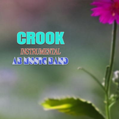 Crook (Instrumental)/AB Music Band