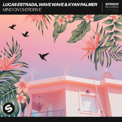 Lucas Estrada, Wave Wave & Kyan Palmer