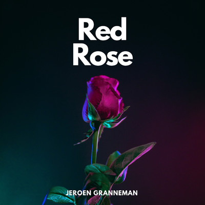 Red Rose/Jeroen Granneman
