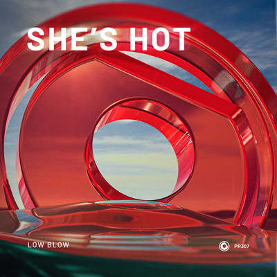 She's Hot (Extended Mix)/Low Blow