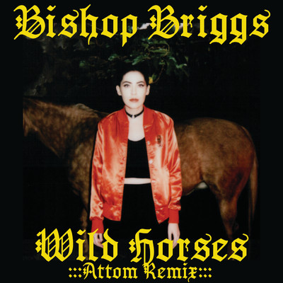 Wild Horses (Attom Remix)/Bishop Briggs