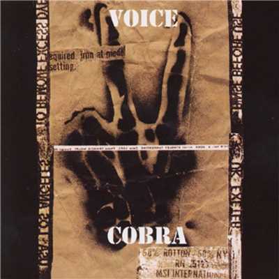 アルバム/VOICE/Cobra