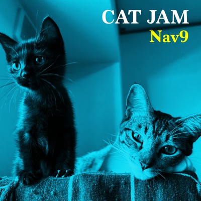 シングル/CAT JAM/Nav9