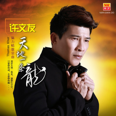 シングル/Yue Liang Dai Biao Wo De Xin/Xu Wen You／Huang Xiao Feng
