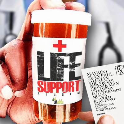 アルバム/Life Support Riddim/Various Artists