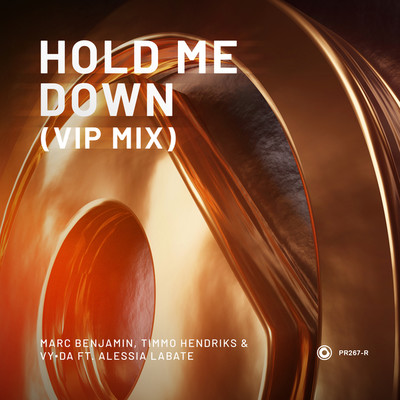 Hold Me Down (VIP Mix)/Marc Benjamin