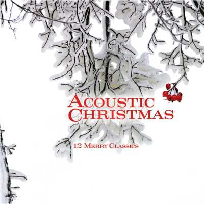 Angels We Have Heard On High (Acoustic Christmas Album Version)/Performance Artist