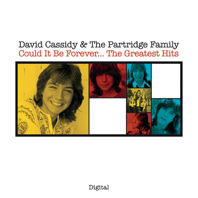 シングル/I'll Meet You Halfway/David Cassidy／The Partridge Family
