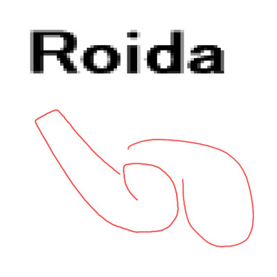 シングル/Roida/岡柴