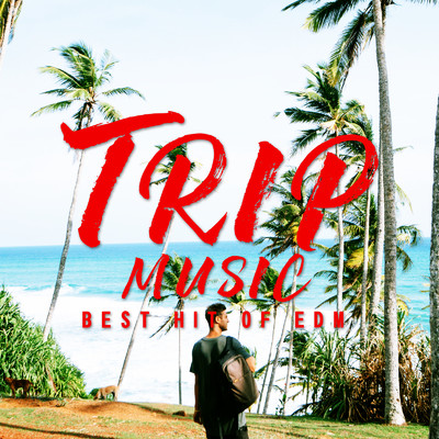 アルバム/TRIP MUSIC -BEST HIT OF EDM-/PLUSMUSIC