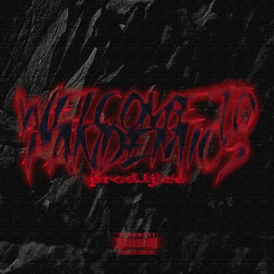 シングル/Welcome To PanDeMiCs/PanDeMiCs