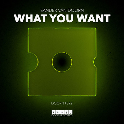 What You Want/Sander van Doorn