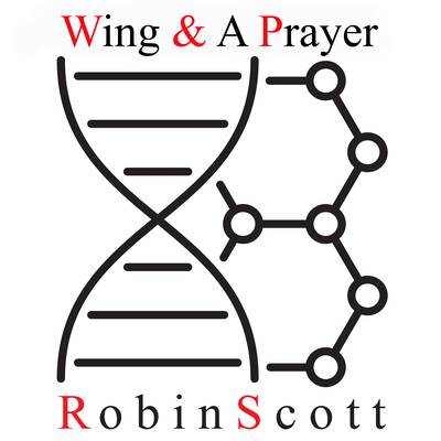 Wing & A Prayer/Robin Scott & M
