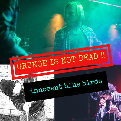 アルバム/GRUNGE IS NOT DEAD ！！/innocent blue birds