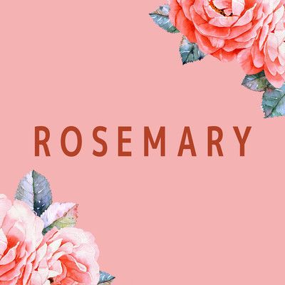 アルバム/Rosemary/JAZANIXA