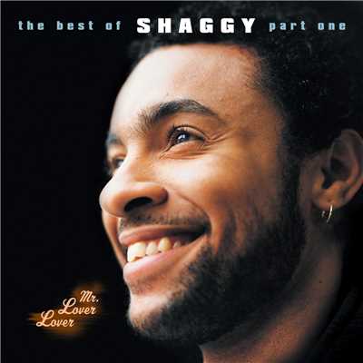 Luv Me, Luv Me (From ”How Stella Got Her Groove Back” Soundtrack)/Shaggy／Janet Jackson