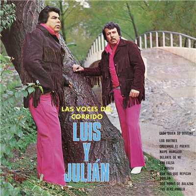 アルバム/Las Voces Del Corrido/Luis Y Julian
