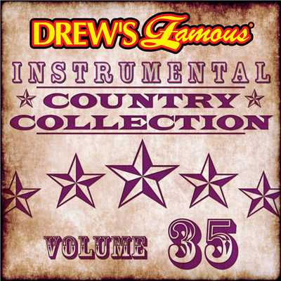 Drew's Famous Instrumental Country Collection (Vol. 35)/The Hit Crew