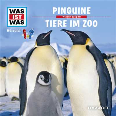 28: Pinguine ／ Tiere im Zoo/Was Ist Was