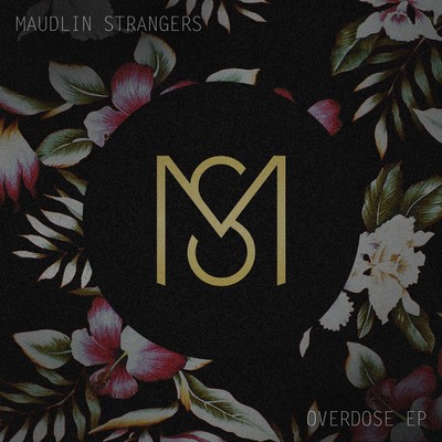 AIM/Maudlin Strangers