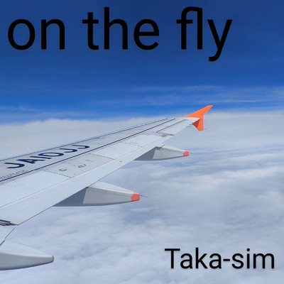 on the fly/Taka-sim
