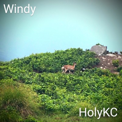 シングル/Windy/HolyKC