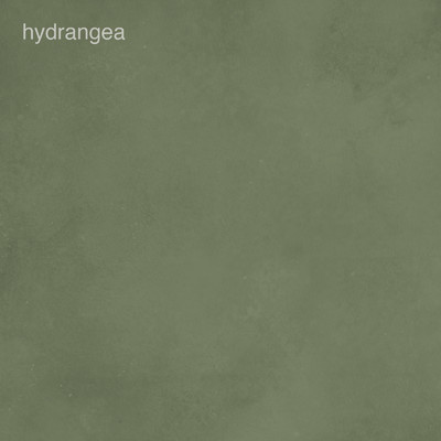 hydrangea/Grey October Sound & K.Johnson