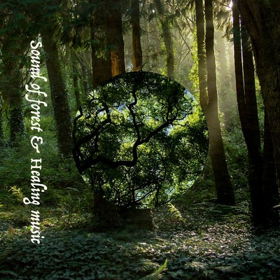 アルバム/Sound of forest & Healing music/ALL BGM CHANNEL & Sound Forest