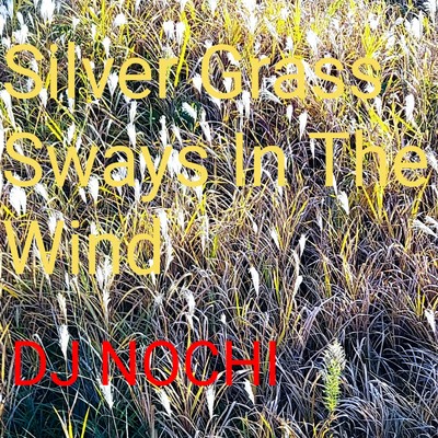 Silver Grass Sways In The Wind/DJ NOCHI