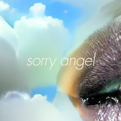 アルバム/Sorry Angel/Alex Beaupain