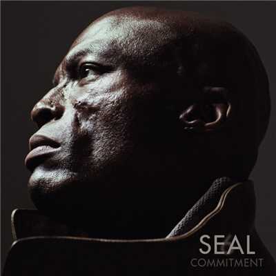 You Get Me/Seal