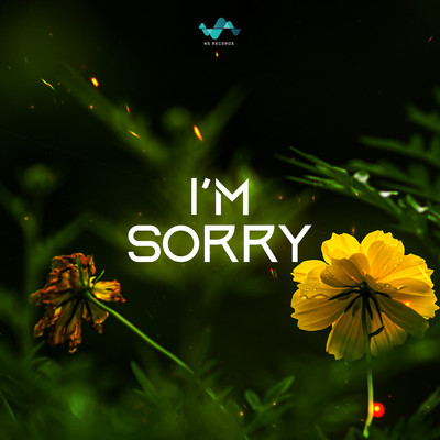 Im Sorry/NS Records