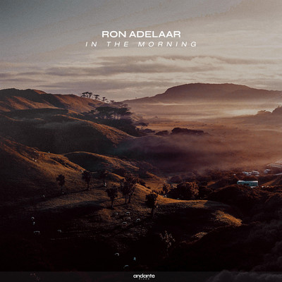 In The Morning/Ron Adelaar