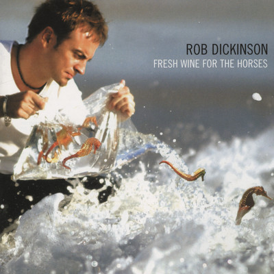 Towering and Flowering (Hidden Track)/Rob Dickinson