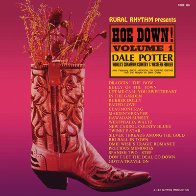 New Carrol County Blues/Dale Potter