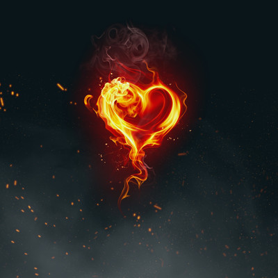 Heart in Fire/Wasonblack