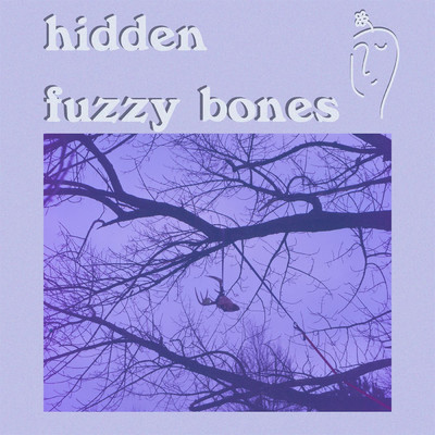 Hidden/Fuzzy Bones