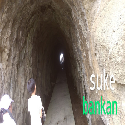 アルバム/bankan/suke