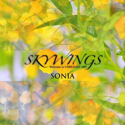 アルバム/SONIA/SKYWINGS