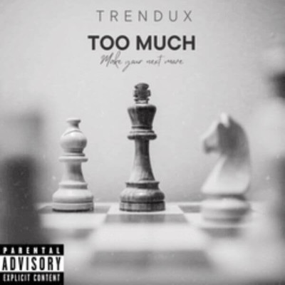 Too Much/Trendux