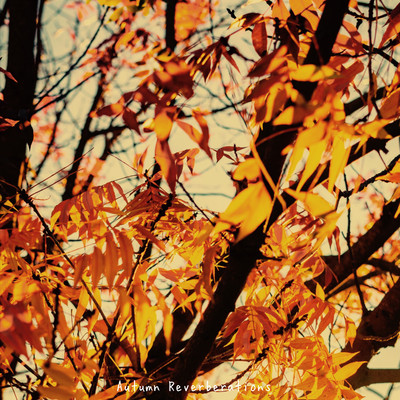 シングル/Autumn Reverberations/DaikixCousin