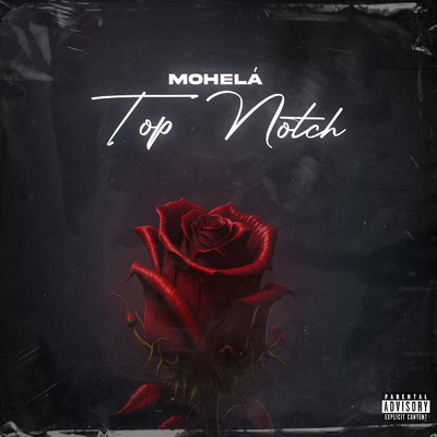 シングル/Top Notch (Explicit)/Mohela
