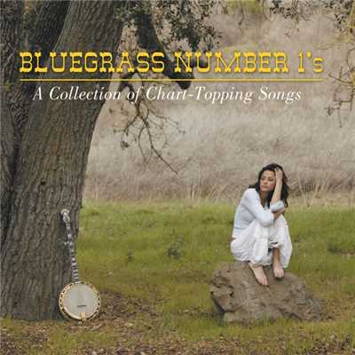 Bluegrass Number 1's/Various Artists