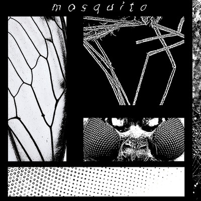 Mosquito/latesleeper