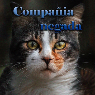 シングル/Compania negada/Estrain Popot
