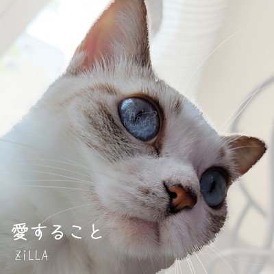 愛すること/ZiLLA