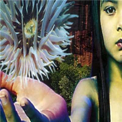 Lifeforms/The Future Sound Of London