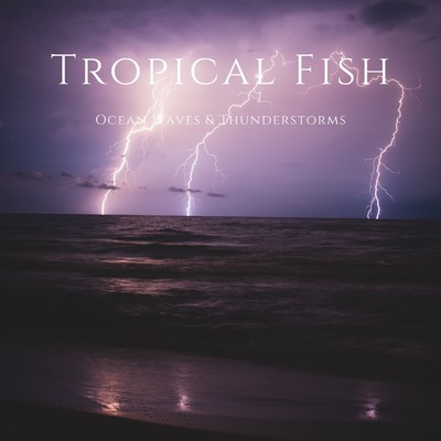 Ocean Waves & Thunderstorms/Tropical Fish